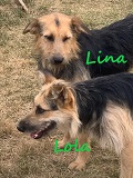 Lola und Lina